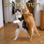 ריקוד החתולים